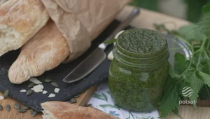 „Ewa gotuje” Pesto z pokrzywy, rukoli i pietruszki