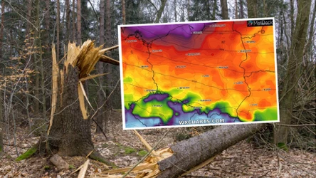 Nadciągający nad Polskę cyklon Patryk przynosi silny wiatr. Z prognoz IMGW wynika, że w nocy z piątku na sobotę na Wybrzeżu będzie wiało ponad 100 km/h