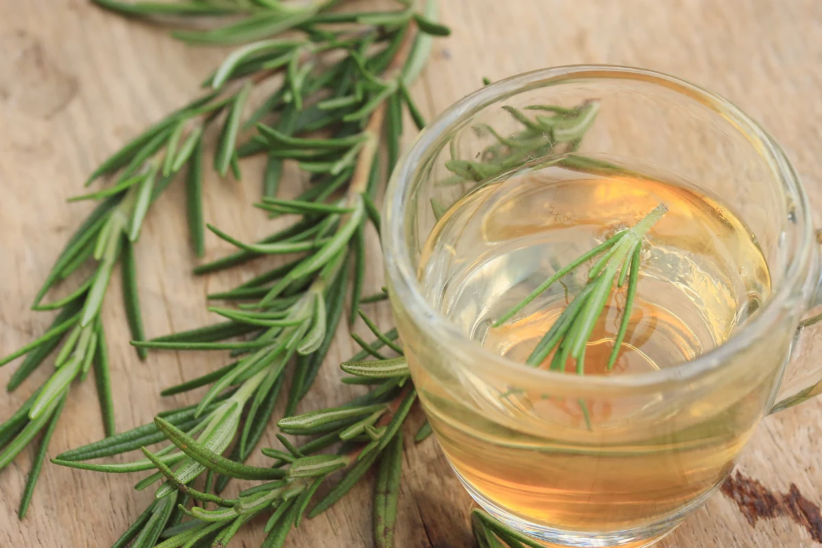 Rozmaryn poprawia krążenie krwi, dzięki czemu cebulki włosów stają się lepiej dotlenione