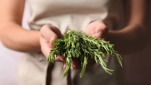 Naukowcy sprawdzili viralowy trend z TikToka... działa!