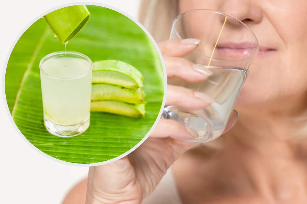 Aloes - waciwoci, zastosowanie, przeciwwskazania. Jak stosowa aloes na  odek? Czy aloes jest szkodliwy? - Zdrowie w INTERIA.PL