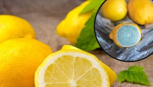 Cytryny już nigdy nie spleśnieją. Wystarczy przechowywać je w ten sposób 