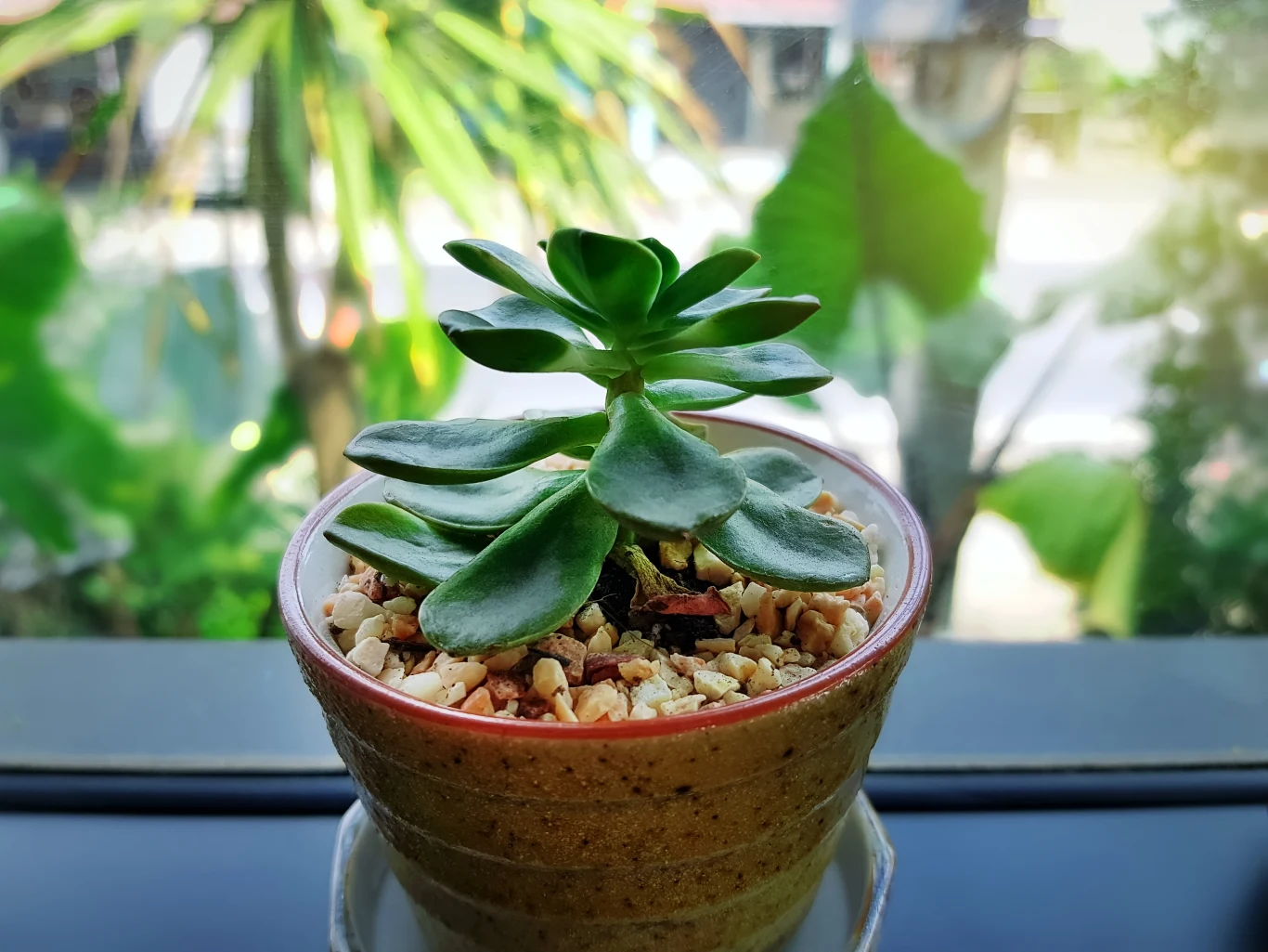 Grubosz wspomaga przepływ gotówki