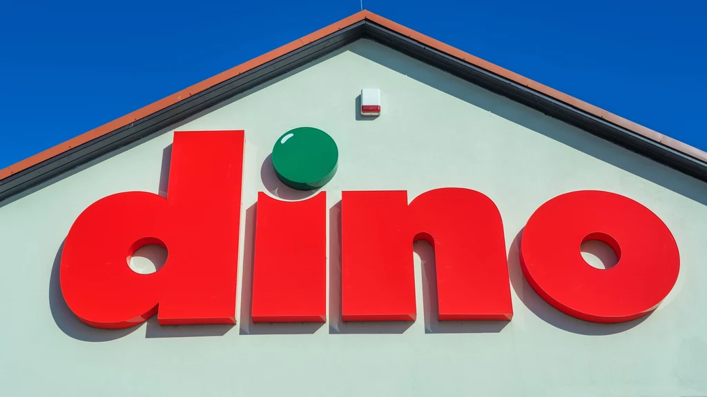 Dino szuka 1200 kasjerów. Taką oferuje wypłatę na kasie.