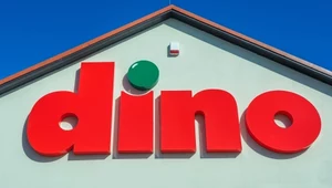 Dino szuka 1200 kasjerów. Taką oferuje wypłatę na kasie.