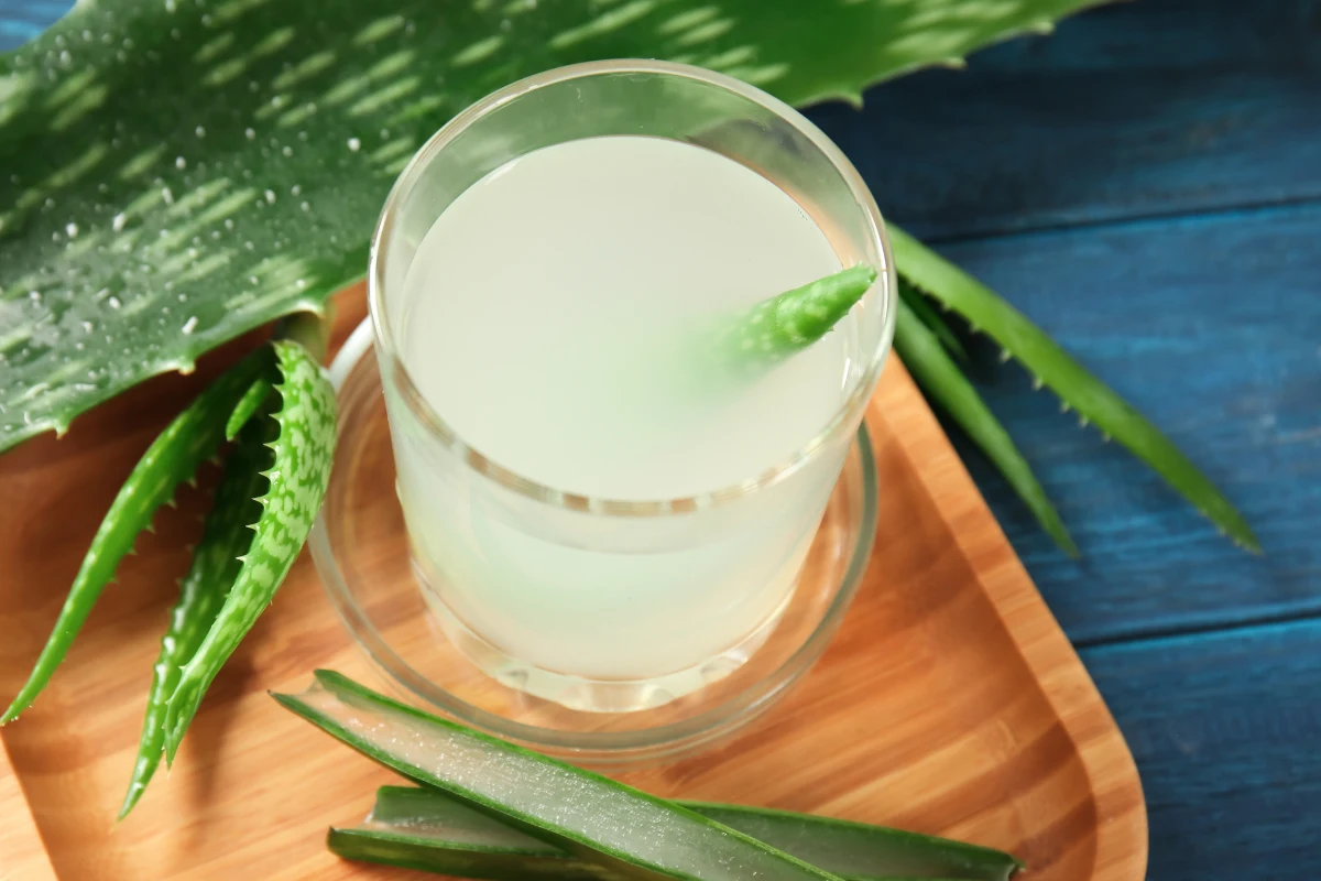 Aloes - waciwoci, zastosowanie, przeciwwskazania. Jak stosowa aloes na  odek? Czy aloes jest szkodliwy? - Zdrowie w INTERIA.PL