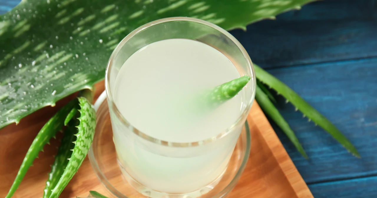 Aloes - waciwoci, zastosowanie, przeciwwskazania. Jak stosowa aloes na  odek? Czy aloes jest szkodliwy? - Zdrowie w INTERIA.PL