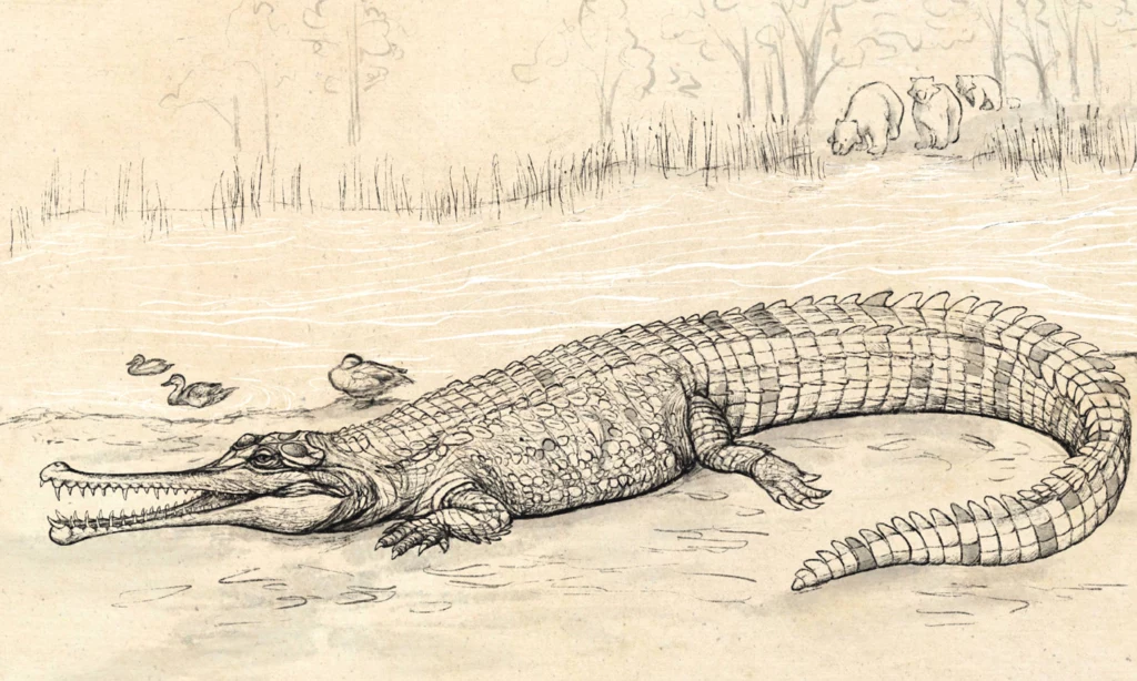 Krokodyl gigant. Miał ponad 7 metrów długości 