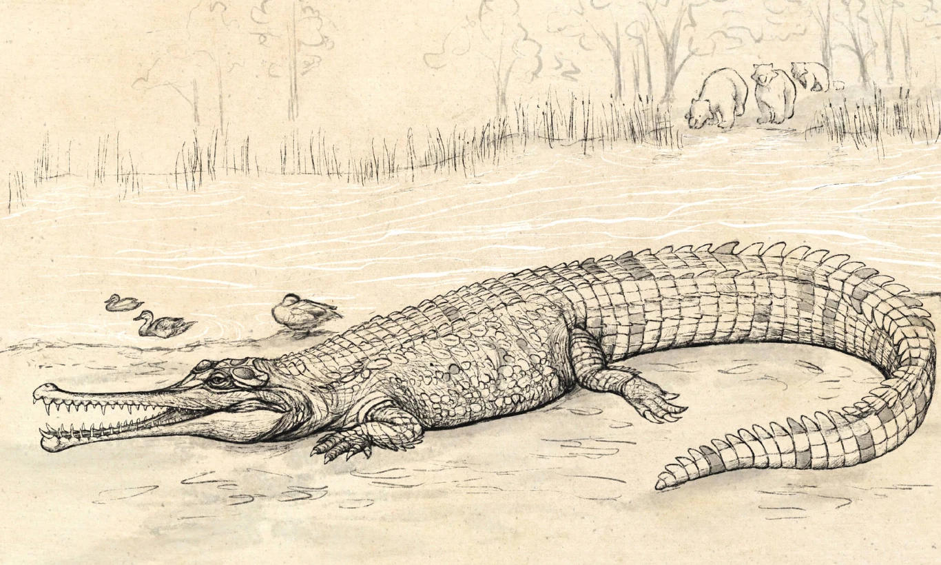 Krokodyl gigant. Miał ponad 7 metrów długości 