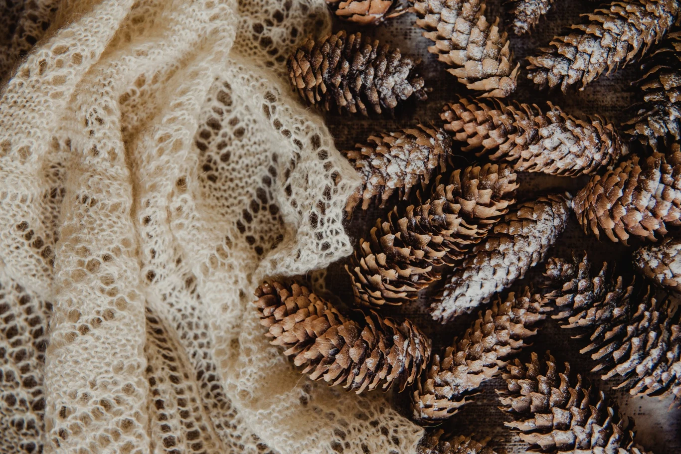 Połączenie olejków eterycznych z szyszkami tworzy domowe odświeżacze powietrza Połączenie olejków eterycznych z szyszkami tworzy domowe odświeżacze powietrza