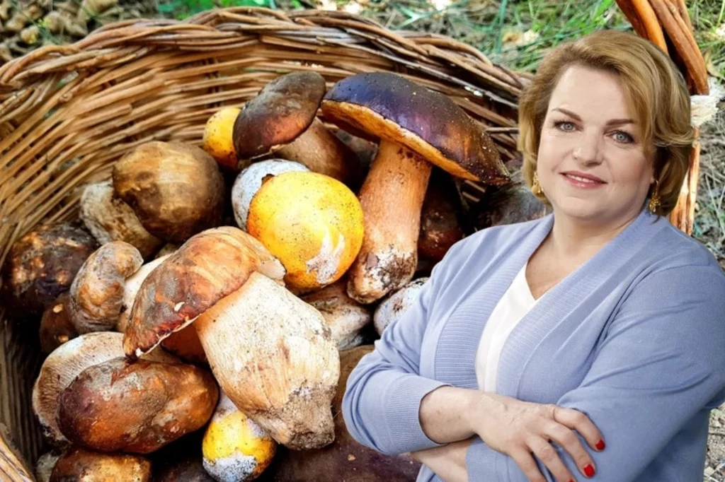 Katarzyna Bosacka zabrałą głos w sprawie wartości odżywczej grzybów 