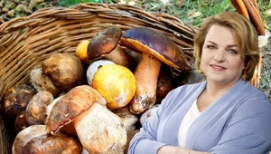 Katarzyna Bosacka zabrałą głos w sprawie wartości odżywczej grzybów 