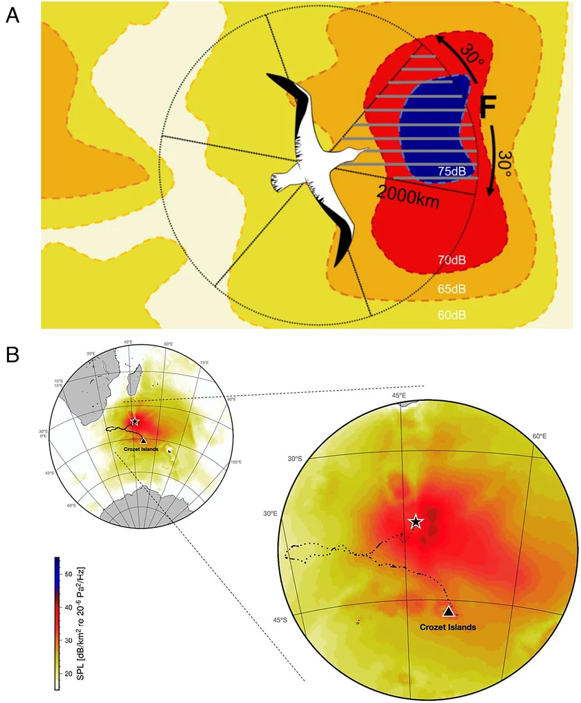 (A) Schemat ilustrujący podejście analityczne (B) Wykres statycznego mikrobaromowego krajobrazu infradźwiękowego (0,06 do 1,1 Hz) z perspektywy żerującego albatrosa