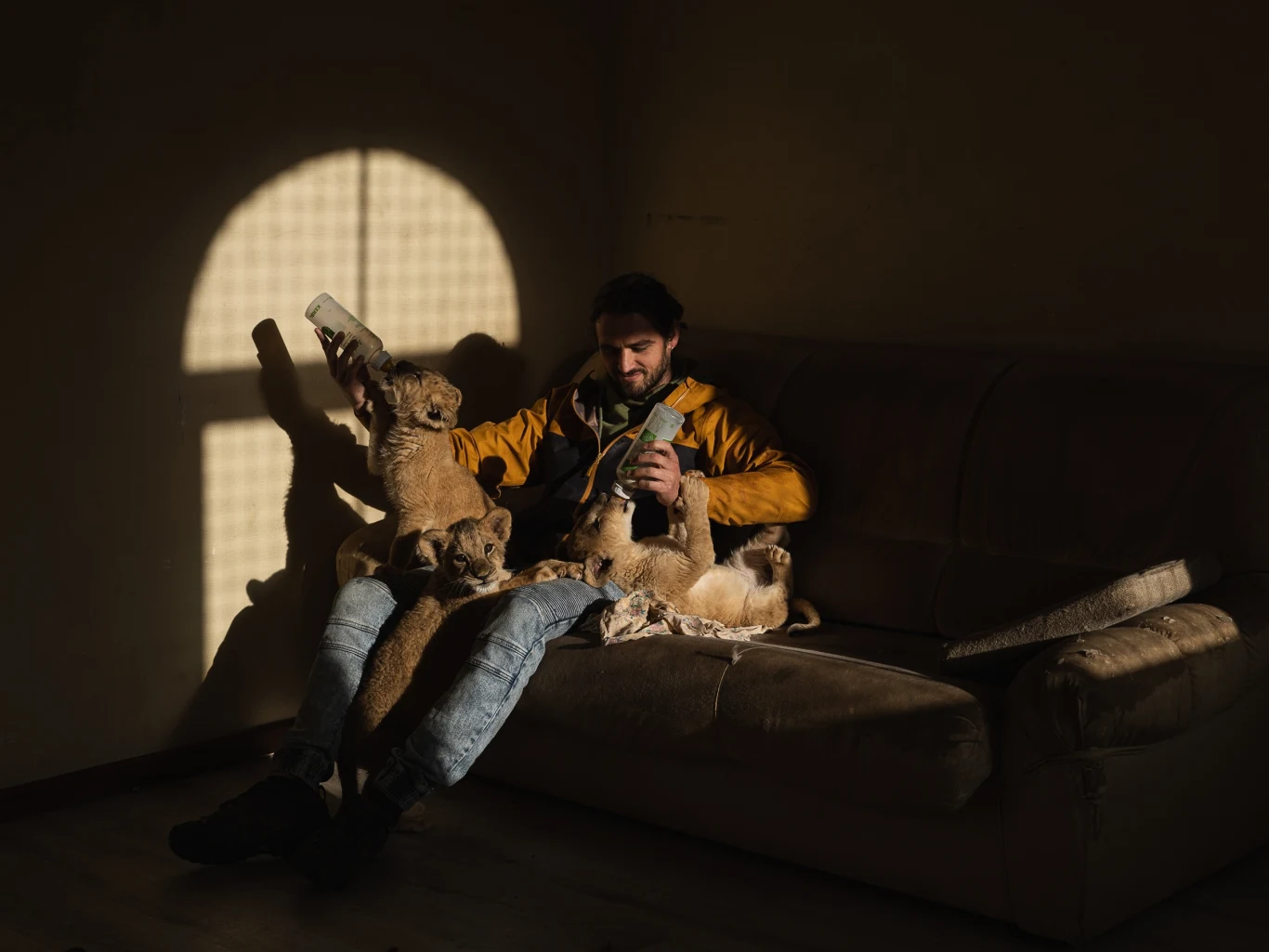 Polski fotograf miał szansę zrobić zdjęcia m.in. lwiątkom, które zostały ewakuowane z Ukrainy zaraz po wybuchu wojny z Rosją