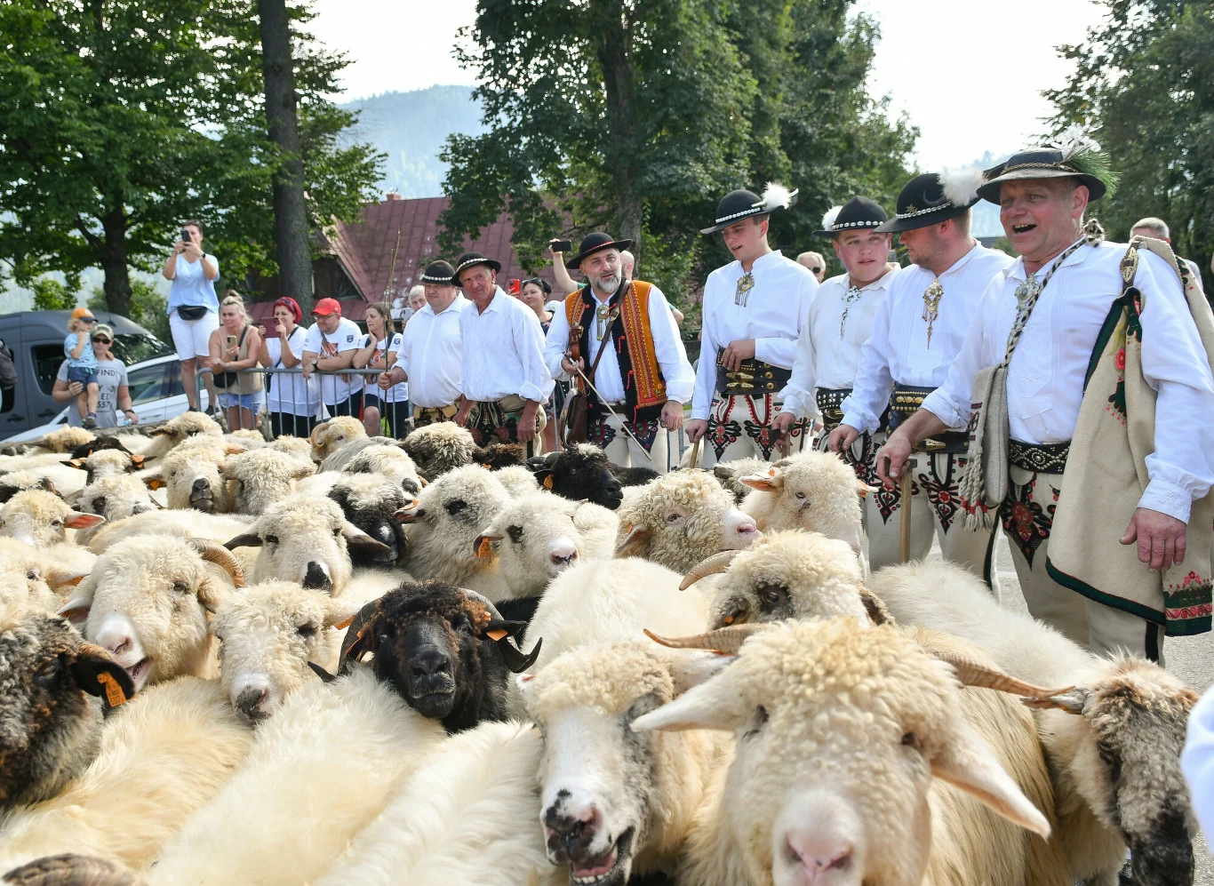 Pod koniec września i w październiku w górach możemy uczestniczyć w widowiskowej uroczystości