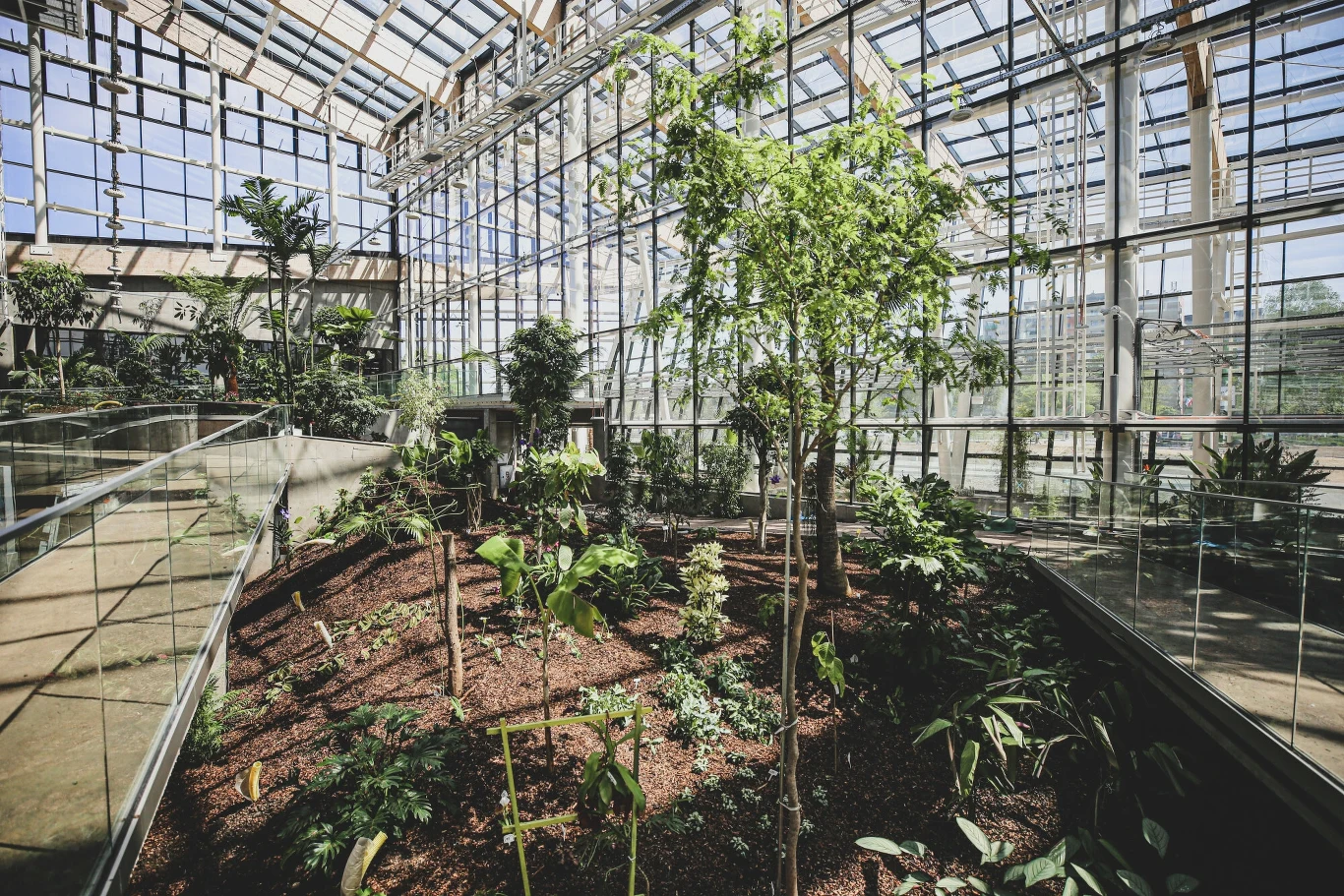 W grudniu zostanie egzotarium w Sosnowcu W grudniu zostanie egzotarium w Sosnowcu