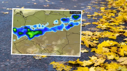 W czwartek będzie stosunkowo ciepły, jednak silnie powieje. Wydano alerty IMGW dla dwóch województw na północy Polski