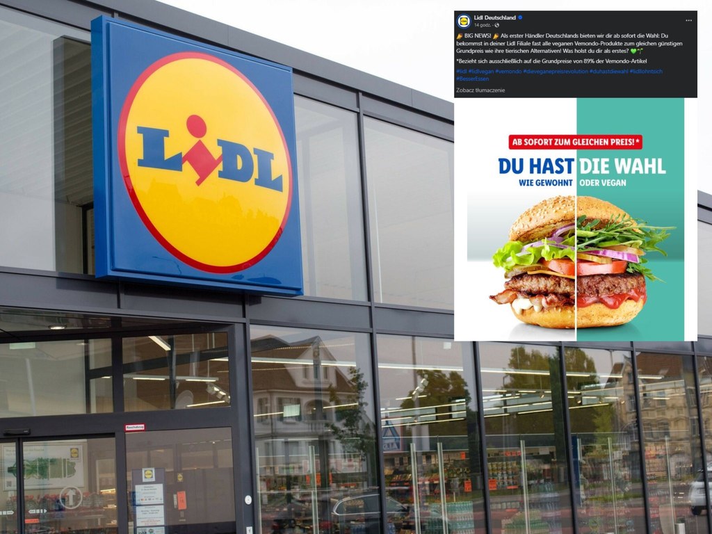 Niemiecki Lidl promuje żywność wegańską. W sklepach sieci roślinne alternatywy mają zyskać tak samo dobrą ekspozycję jak produkty odzwierzęce