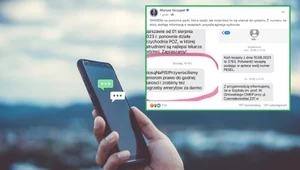 Polacy dostają dziwny SMS "Głosuj na PiS". To zwykły spam