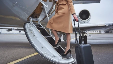 Jedna z pasażerek zabrała ze sobą do samolotu ponad 30 zwierząt