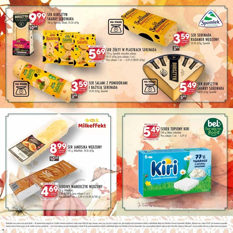leaflet page preview image