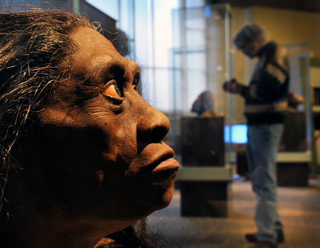 Rekonstrukcja homo floresiensis