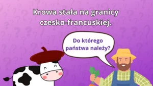 Trudna zagadka na logiczne myślenie. 99% osób błędnie odpowiada na to pytanie. Do którego państwa należy krowa?