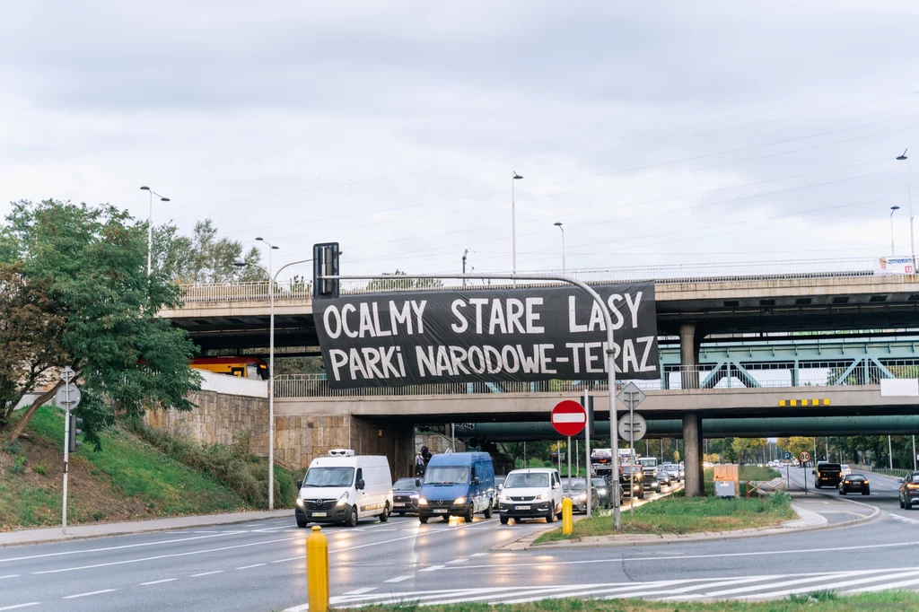 Na Moście Gdańskim w Warszawie zawisł ogromny baner z hasłem: Ocalmy stare lasy. Parki Narodowe - teraz!