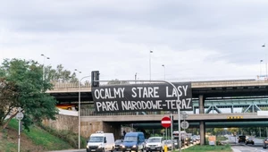 Na Moście Gdańskim w Warszawie zawisł ogromny baner z hasłem: Ocalmy stare lasy. Parki Narodowe - teraz!