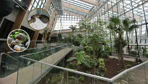 ​Sosnowiec zyska nową, wyjątkową atrakcję. Będą tam zjeżdżać turyści całej Polski