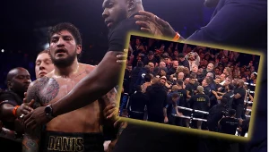 Logan Paul - Dillon Danis. Awantura po walce