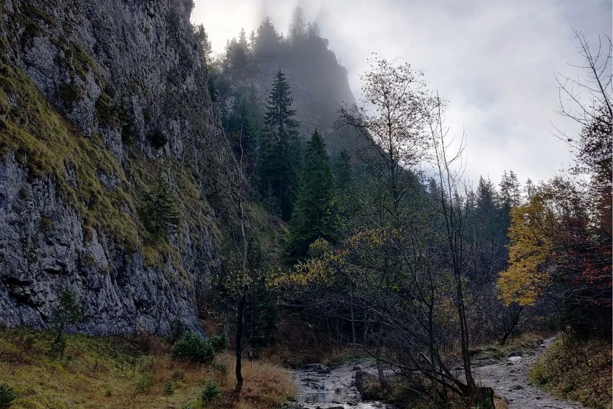 Wejście do wąwozu w jesienny poranek Wejście do wąwozu w jesienny poranek