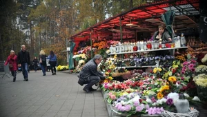 Podczas dnia Wszystkich Świętych wierni odwiedzają groby swoich bliskich