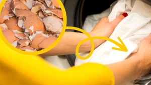 Nie wyrzucaj skorupek jajek. Przydadzą ci się podczas prania