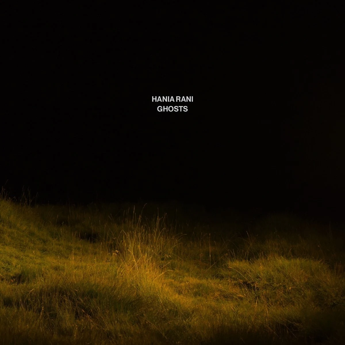 Okładka albumu "Ghosts"