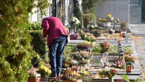 Nowy przebój na cmentarzach w Polsce. Wygryzie tradycyjne ozdoby?