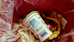 Osoby wywożące śmieci punktują jeden błąd. Dotyczy przeterminowanych jogurtów