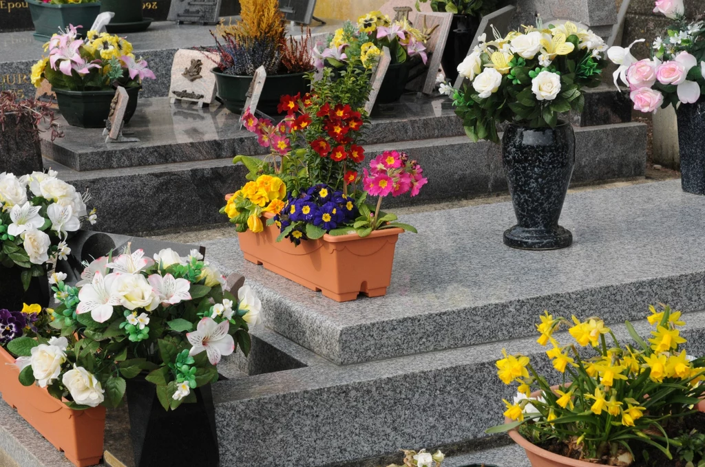 Jakie kwiaty na cmentarz? Z tych lepiej zrezygnuj. Kolor ma znaczenie