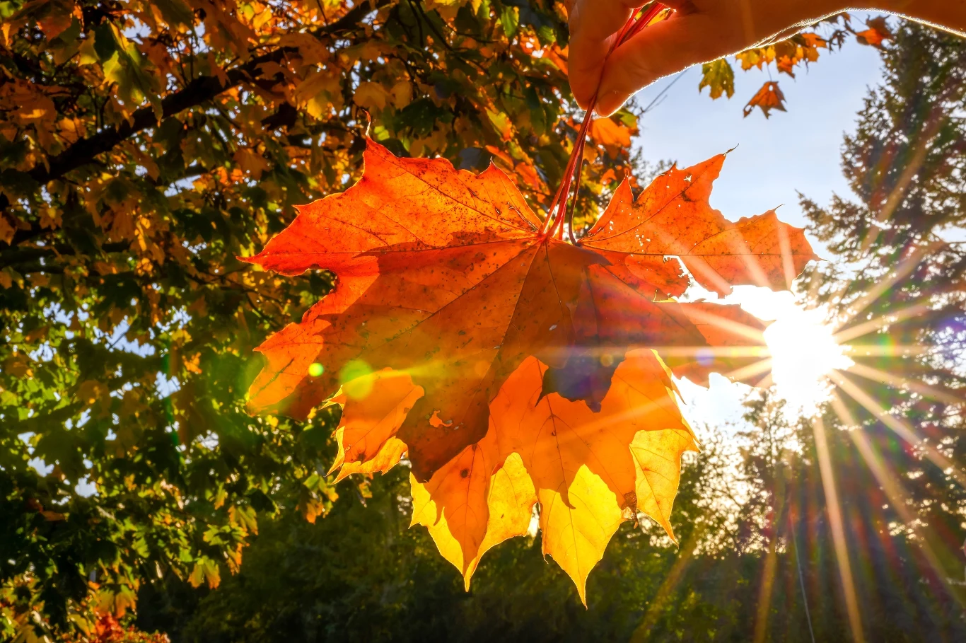 1 listopada w całym kraju będzie słonecznie 