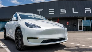 Tesla za 300 tys. zepsuła się, bo padał deszcz. Rachunek - prawie 90 tys. zł