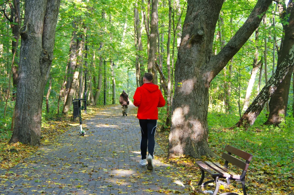 Jaka będzie pogoda na Wszystkich Świętych? Synoptycy pokazali pierwsze prognozy na 1 listopada. 