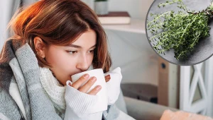 To najlepsza herbata na kaszel. Wystarczy odrobina popularnej przyprawy