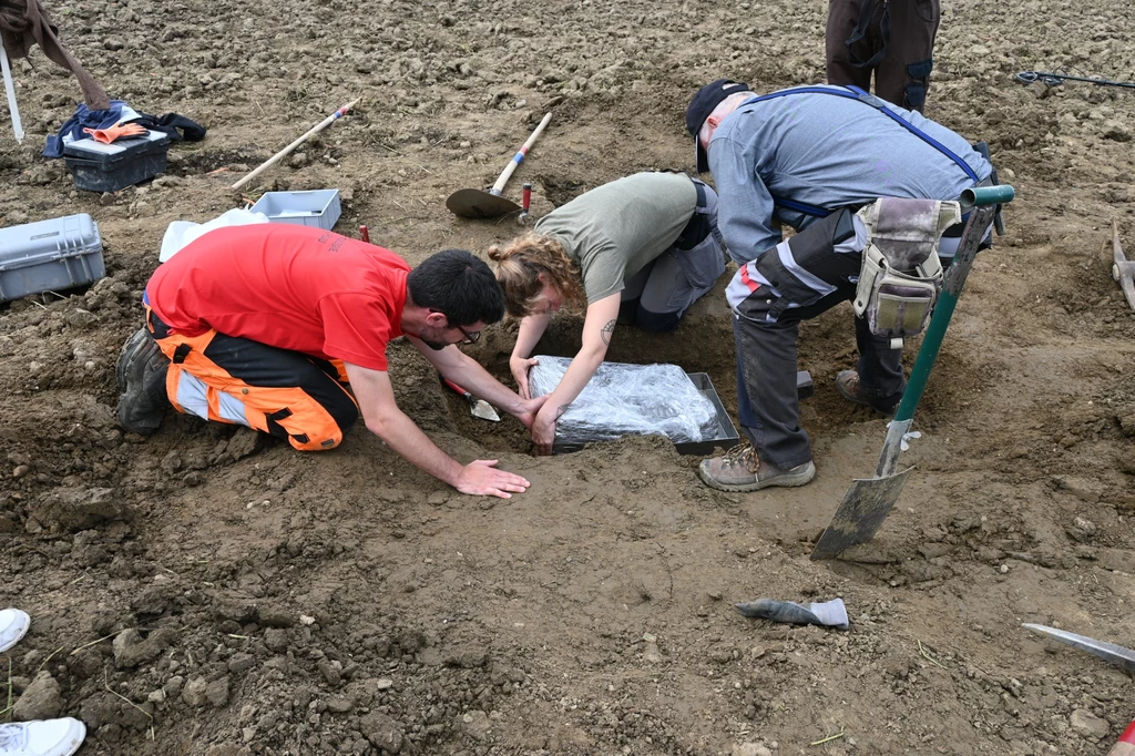 Archeolodzy ostrożnie wyjmują bryłę ziemi, w której znajdują się cenne artefakty