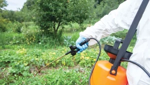 Nowe odkrycie może ograniczyć ilość pestycydów stosowanych w rolnictwie