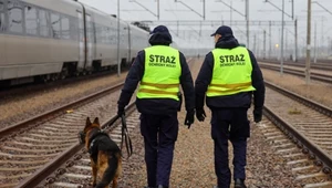 Nietrzeźwy pracownik ochrony pilnował składu PKP Intercity