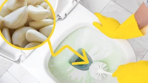 Wrzuć 2 ząbki czosnku do toalety, a uciążliwy problem zniknie