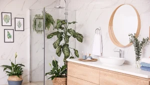 Rośliny w łazience? Te kwiaty sprawdzą się tam najlepiej 