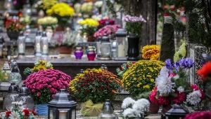 Wyrażają szacunek, rozpacz i tęsknotę. Czy znasz symbolikę kwiatów na Wszystkich Świętych?