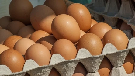 Uważaj na jajka kupowane w sklepie. GIS ostrzega przed salmonellą