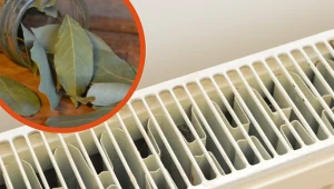 W mig pozbędziesz się brzydkiego zapachu z mieszkania. Wystarczy, że położysz to na kaloryferze